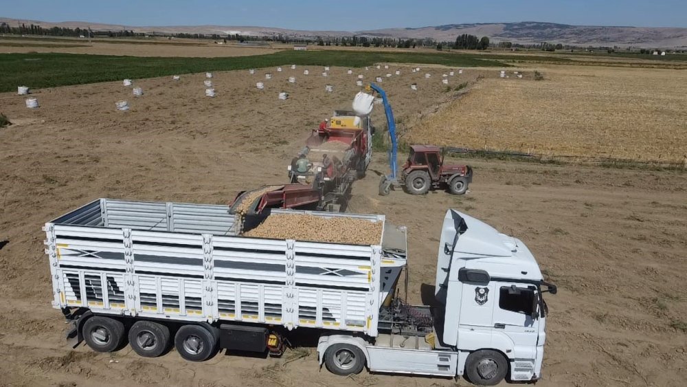 Kışlık patates hasadı başladı, rekolte üreticilerin yüzünü güldürdü