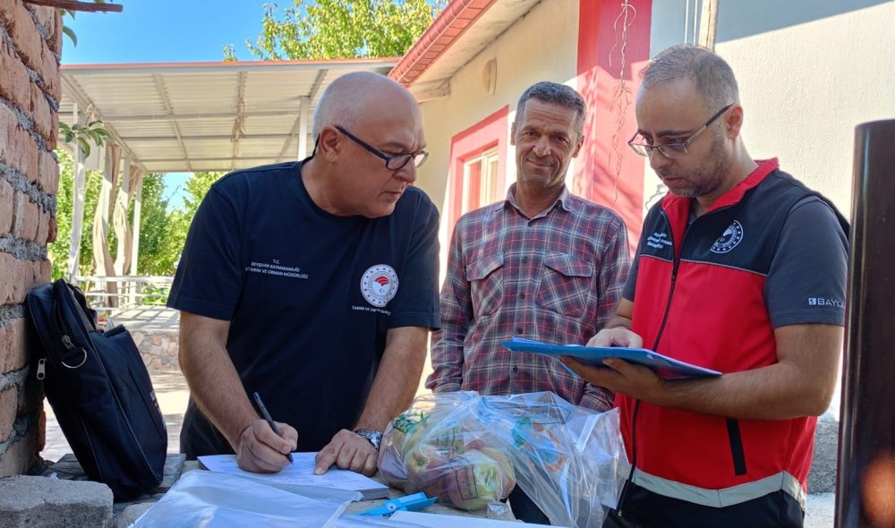 Elma Hasadı Öncesi Pestisit Denetimi