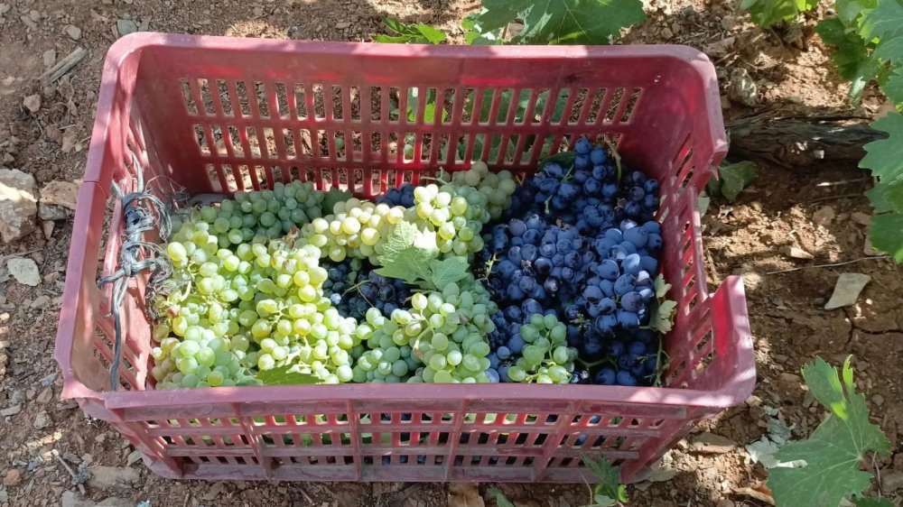 Konya'da kazanlar kaynıyor