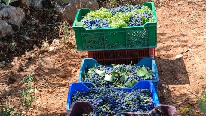 Konya'da kazanlar kaynıyor