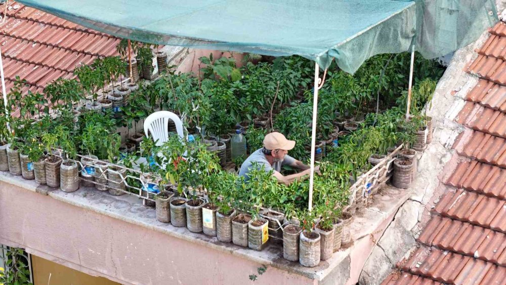 18 metrekarelik terasını bahçeye çevirdi