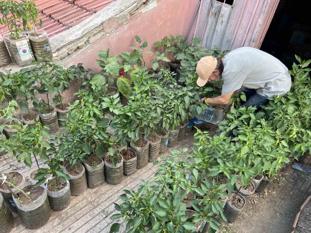 18 metrekarelik terasını bahçeye çevirdi
