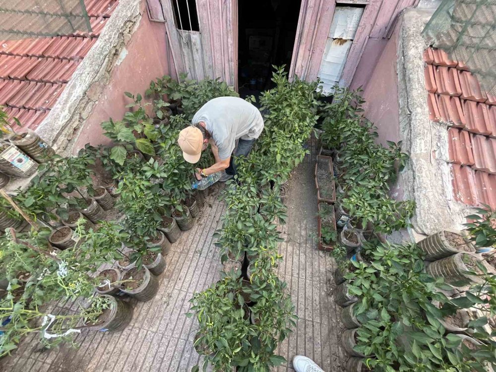 18 metrekarelik terasını bahçeye çevirdi