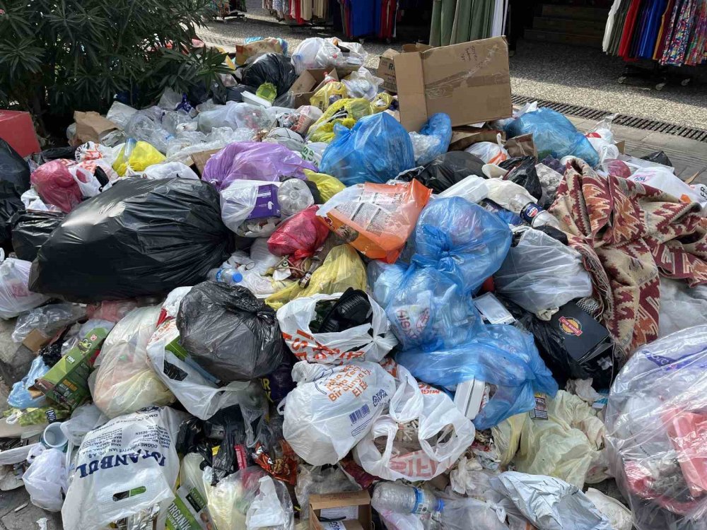 İzmir'i fareler basacak: Halk isyanda