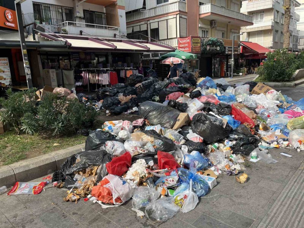 İzmir'i fareler basacak: Halk isyanda