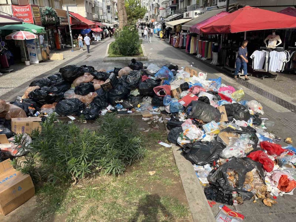 İzmir'i fareler basacak: Halk isyanda