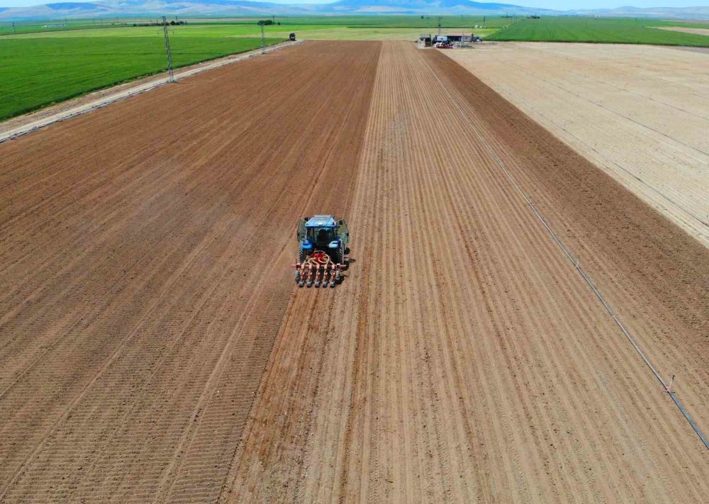 Konya Ovası'nda Hububat Hasadı Tamamlandı: ZMO'dan "Su Tasarruflu Ürün" Uyarısı