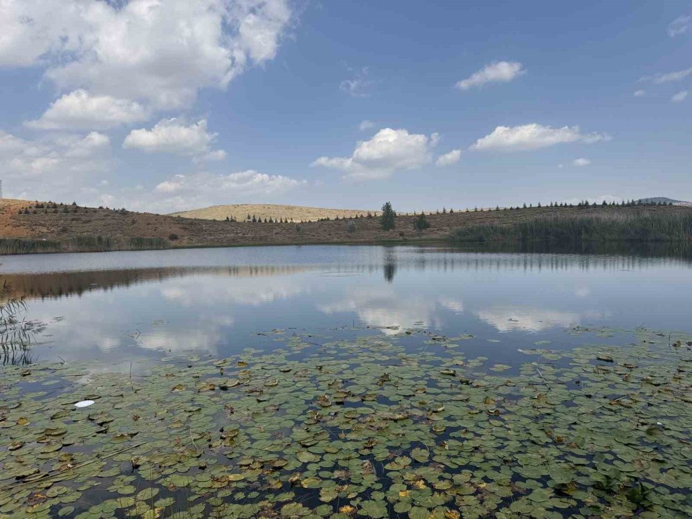 Konya'nın Zirvesindeki Saklı Cennet: Dipsizgöl, Doğaseverlerin Yeni Gözdesi