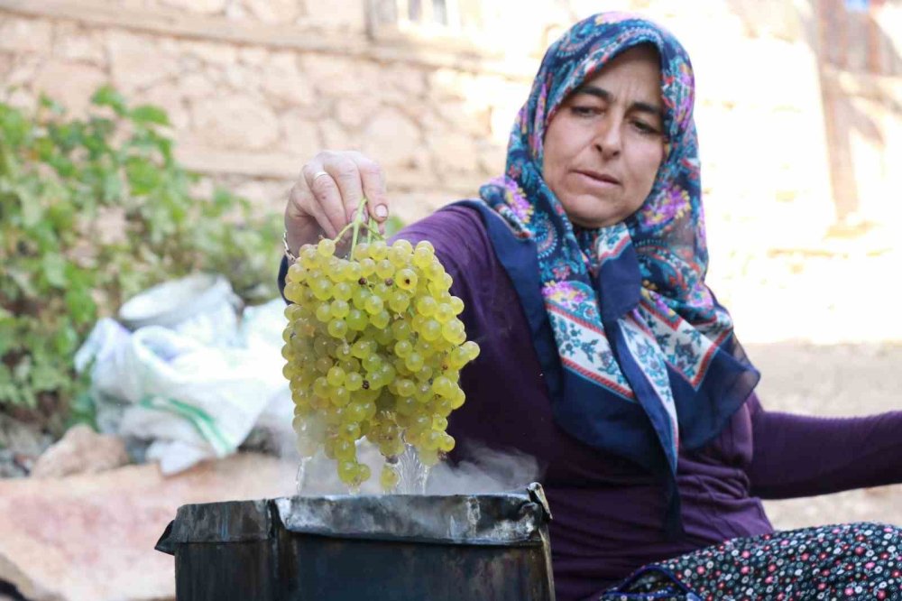 Konya'nın Gölgeden Gelen Lezzeti: Güneş Görmeden Kuruyor, Yeşil Kalıyor