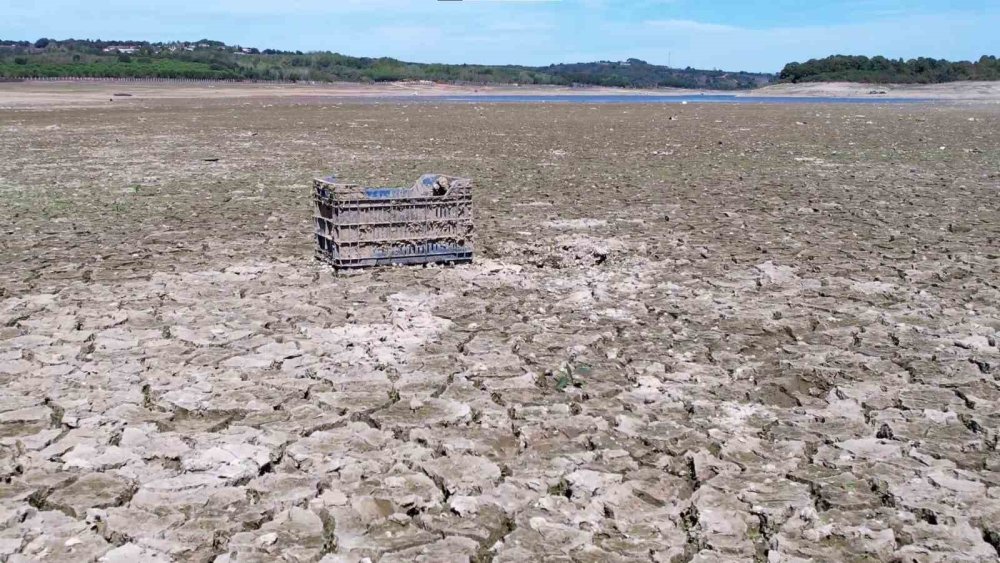Şapka düştü kel göründü