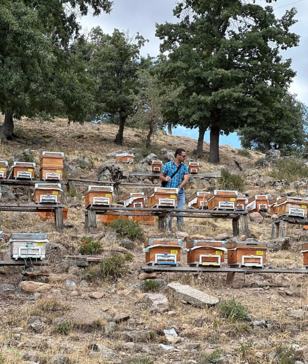 Beyşehir’de Arılı Kovan Sayımı Sürüyor: Üreticilere Teknik Destek Sağlanıyor