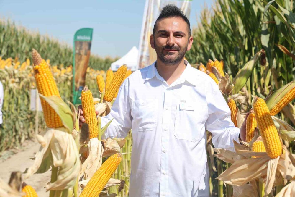 Kuraklığa Dayanıklı Yeni Hibrit Mısırlar Konya'da Tanıtıldı