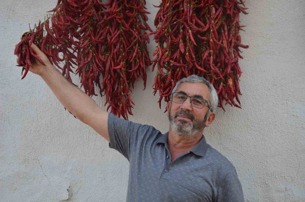 160 yıldır aynı tohumdan acı biber üretiyorlar