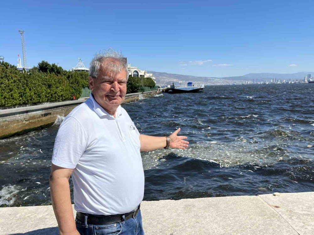 İzmir Körfezi’nde balık ölümleri yeniden başladı