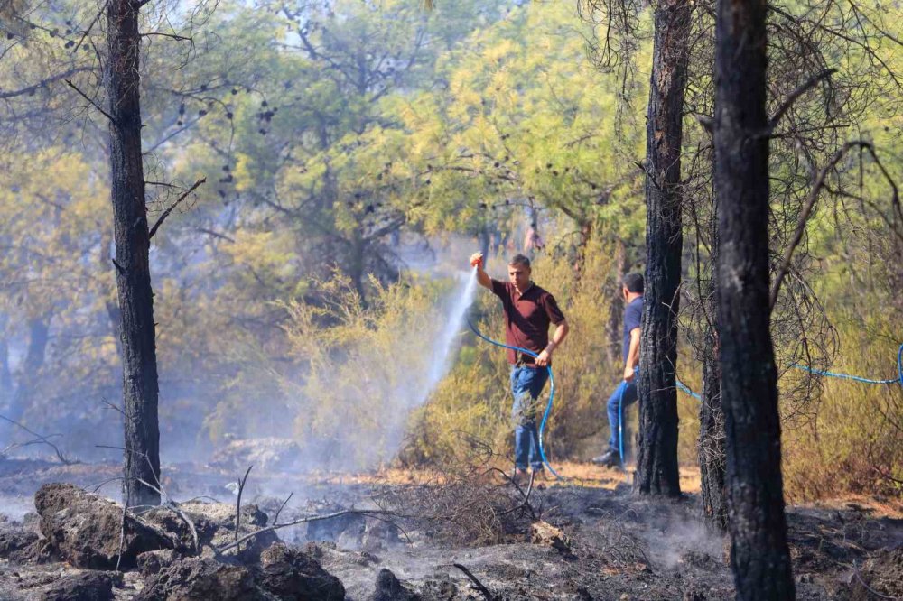 Alanya'ya bakarken Kepez yandı