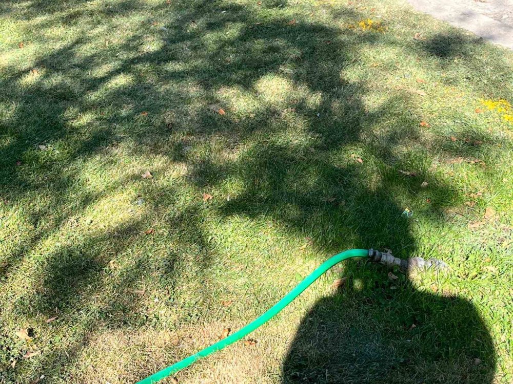 Eskişehir'in Suyu Kalmadı Yeşil Alanlarda İsraf Sürüyor