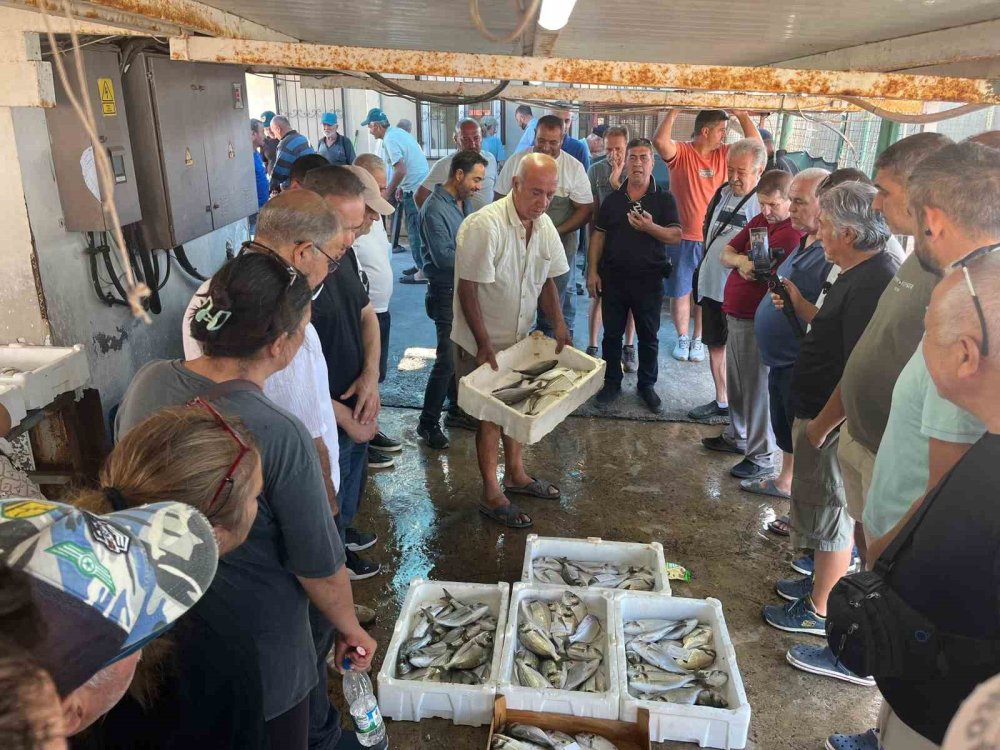 Konya'dan İzmir'e Bu Balıklar İçin Gidiyorlar