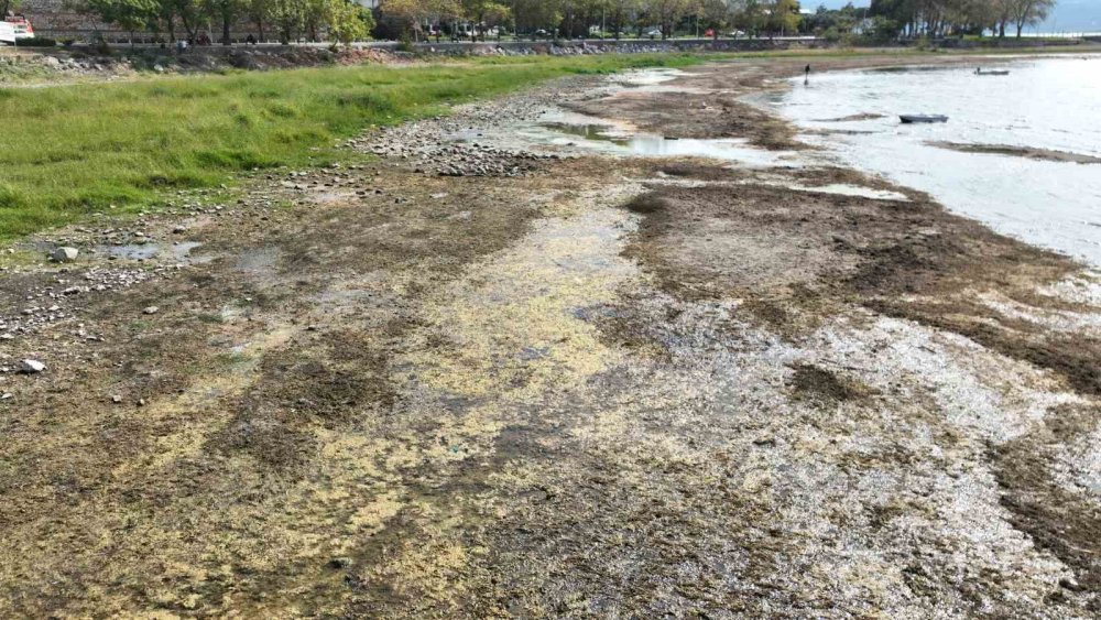 Türkiye'nin bir gölü daha can çekişiyor