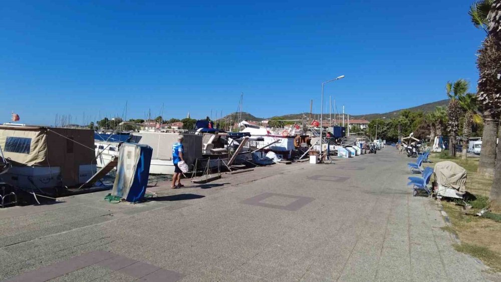 Orkinos ölümlerinin nedeni belli oldu