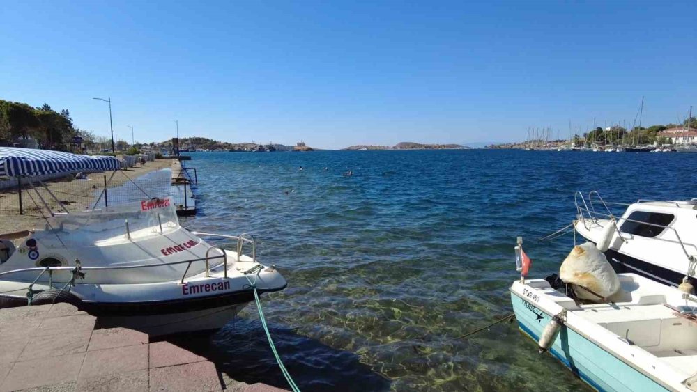 Orkinos ölümlerinin nedeni belli oldu