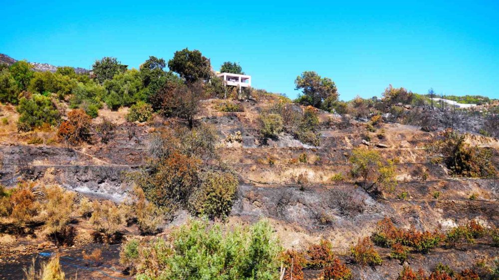 Alanya'da yangınlara karşı yeşil bant uygulaması başlıyor