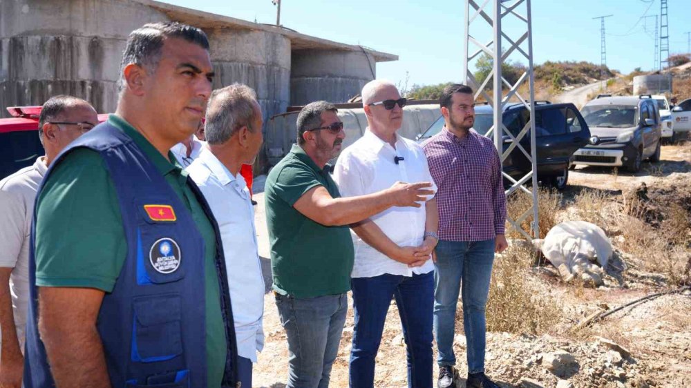 Alanya'da yangınlara karşı yeşil bant uygulaması başlıyor