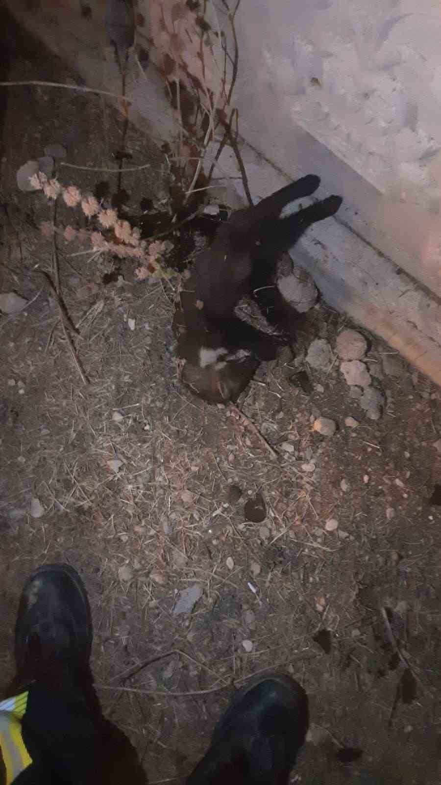 Trafoya Giren Sansar Mahalleyi Kararttı