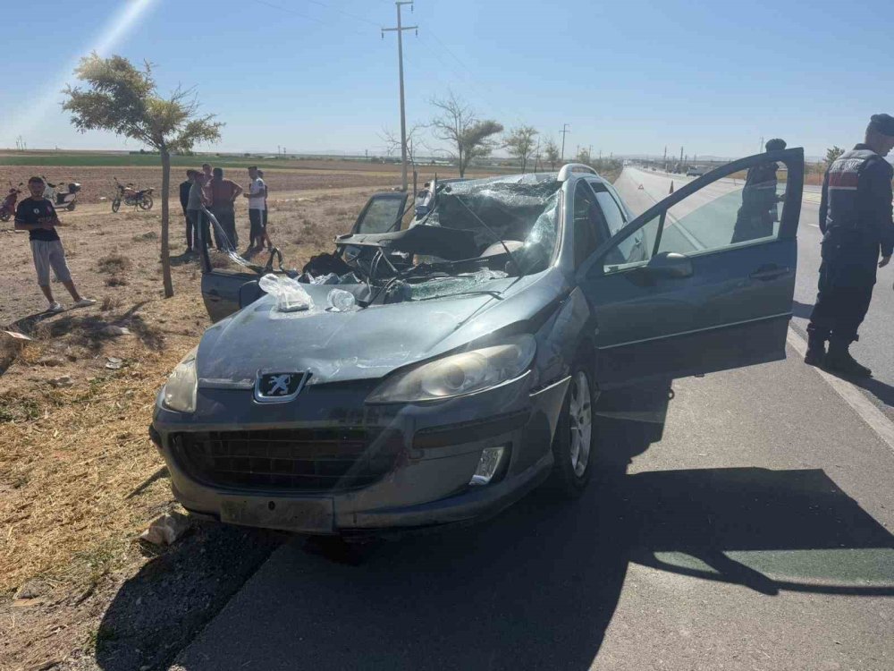 Tırın altına girdiler, sağ kurtuldular