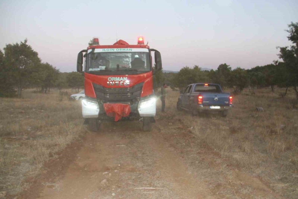 Beyşehir'de sazlıkta çıkan yangın ormana sıçradı