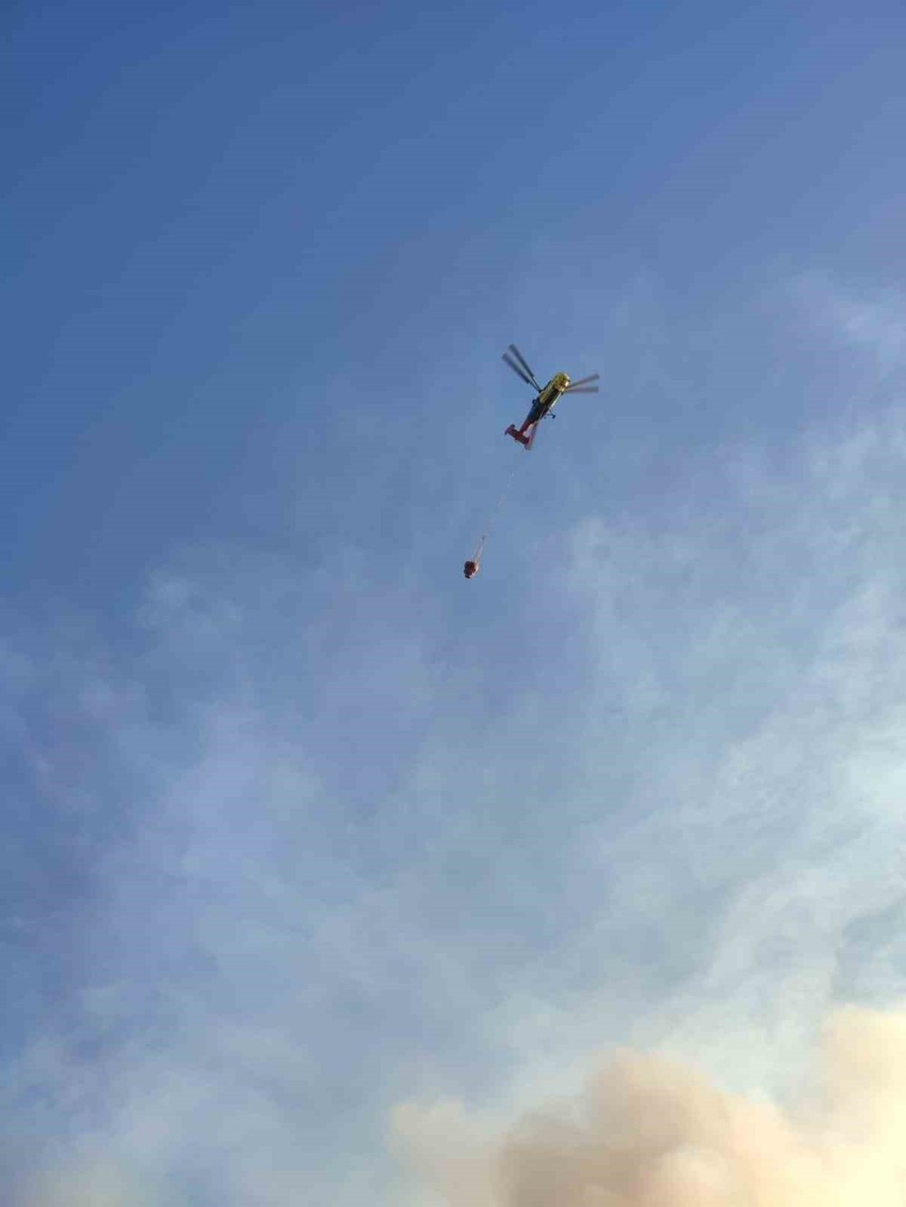 Beyşehir'de sazlıkta çıkan yangın ormana sıçradı