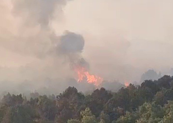 Beyşehir'de sazlıkta çıkan yangın ormana sıçradı