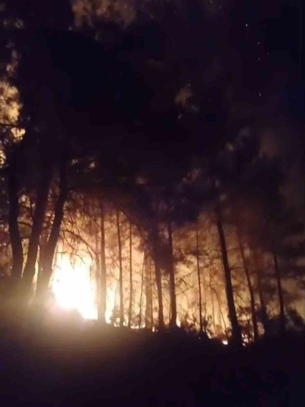 Gazipaşa'da Orman Yangını Korkuttu: Ekipler Alevleri 1 Saatte Kontrol Altına Aldı