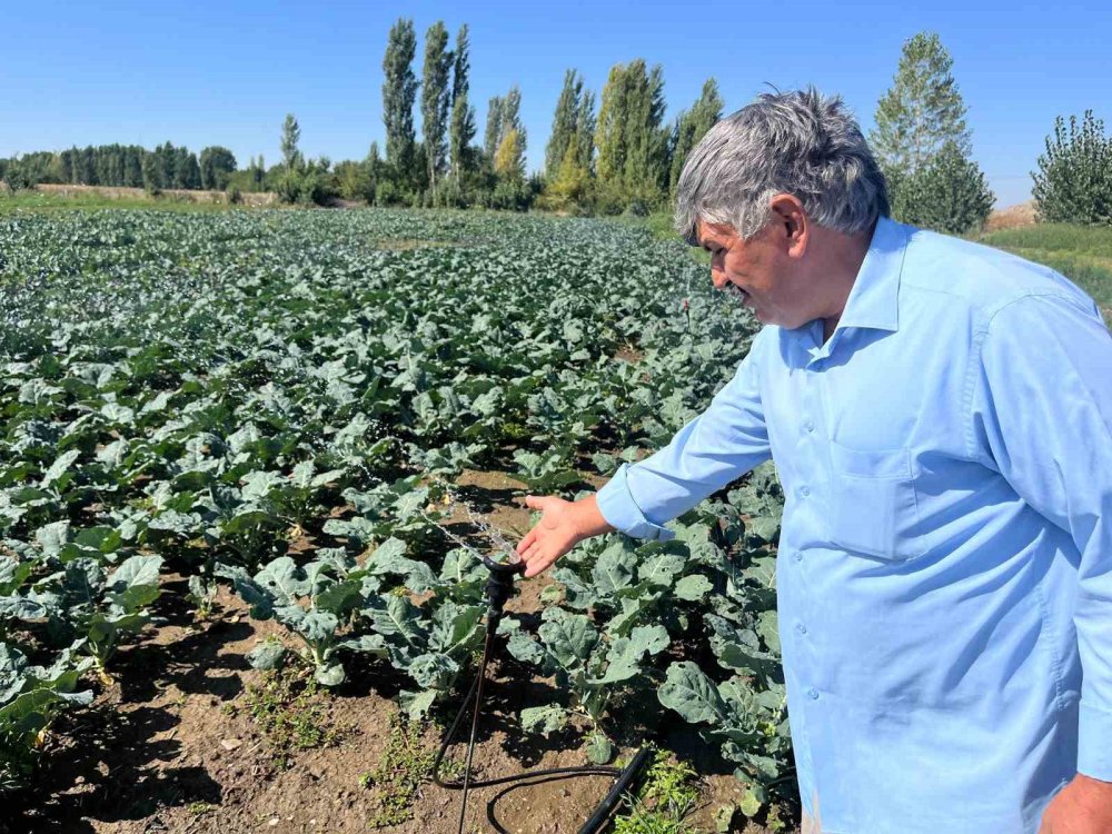 Kuraklık kuyuları da kuruttu: Su yoksa tarım da yok