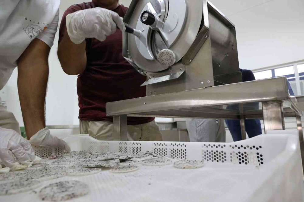 Ejder Meyvesinin Kurusu da Ekonomiye Değer Katıyor