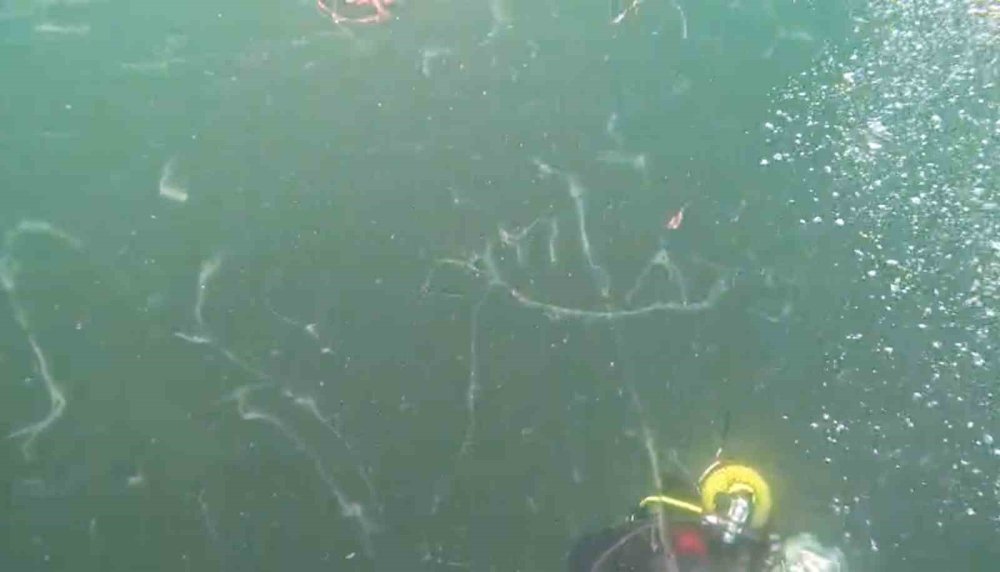 Marmara'nın kabusu geri döndü