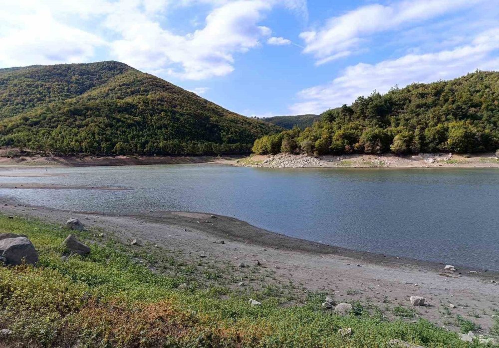 Sular azaldıkça balıklar ölüyor