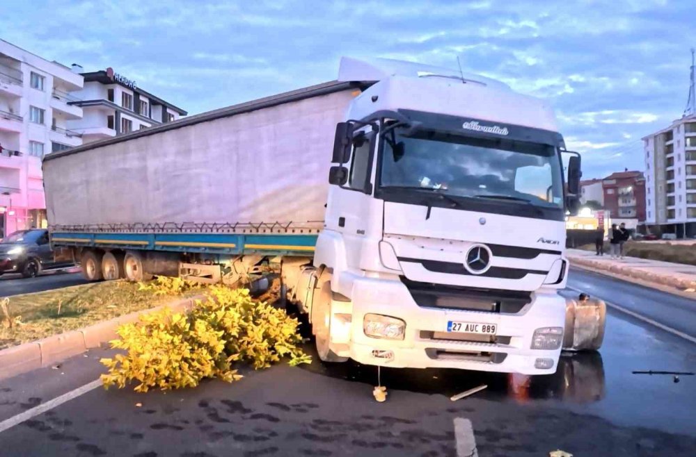 Kediyi kurtardı ama kendini kurtaramadı