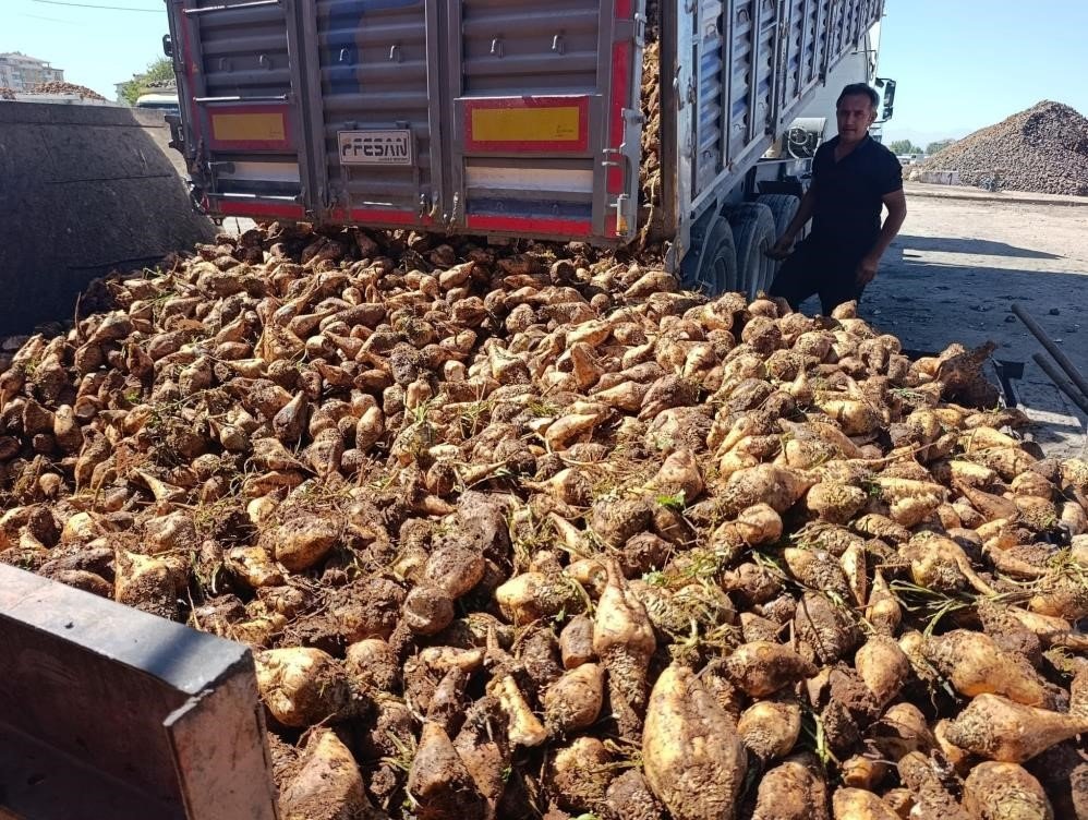 Konya'nın şekeri sorunsuz, devlet fabrikalı ürünler dedektöre takılıyor