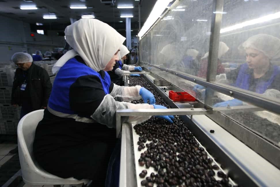 Marmarabirlik'ten Kozmetik ve Zeytinyağlı Çikolata Hamlesi