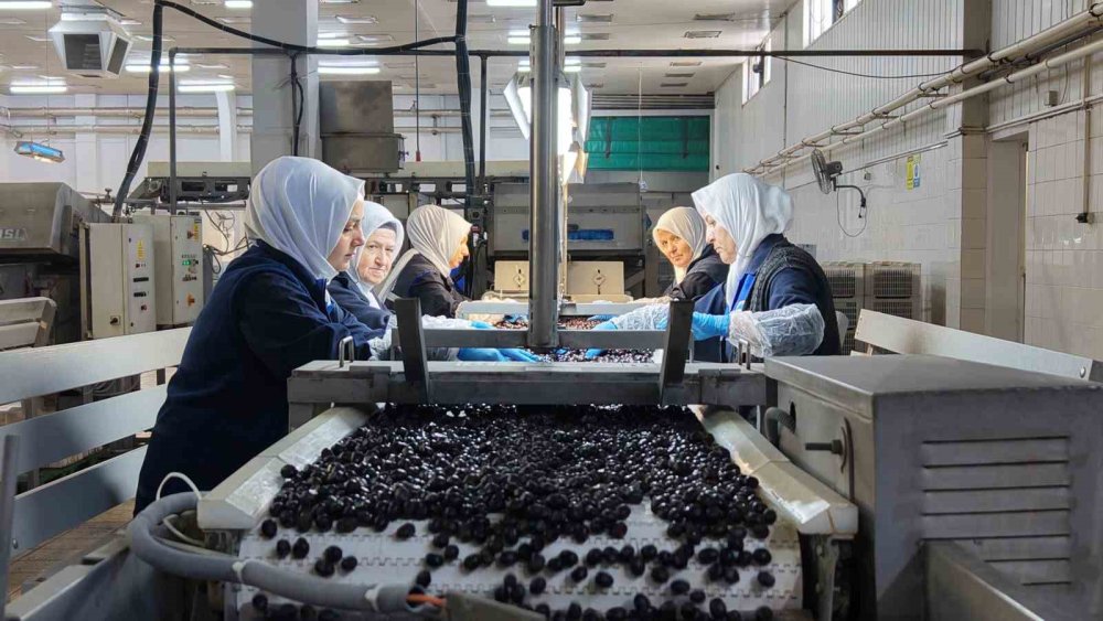 Marmarabirlik'ten Kozmetik ve Zeytinyağlı Çikolata Hamlesi