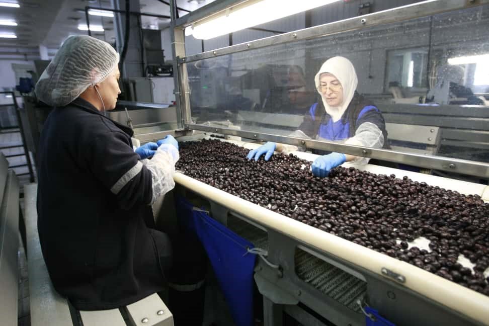 Marmarabirlik'ten Kozmetik ve Zeytinyağlı Çikolata Hamlesi