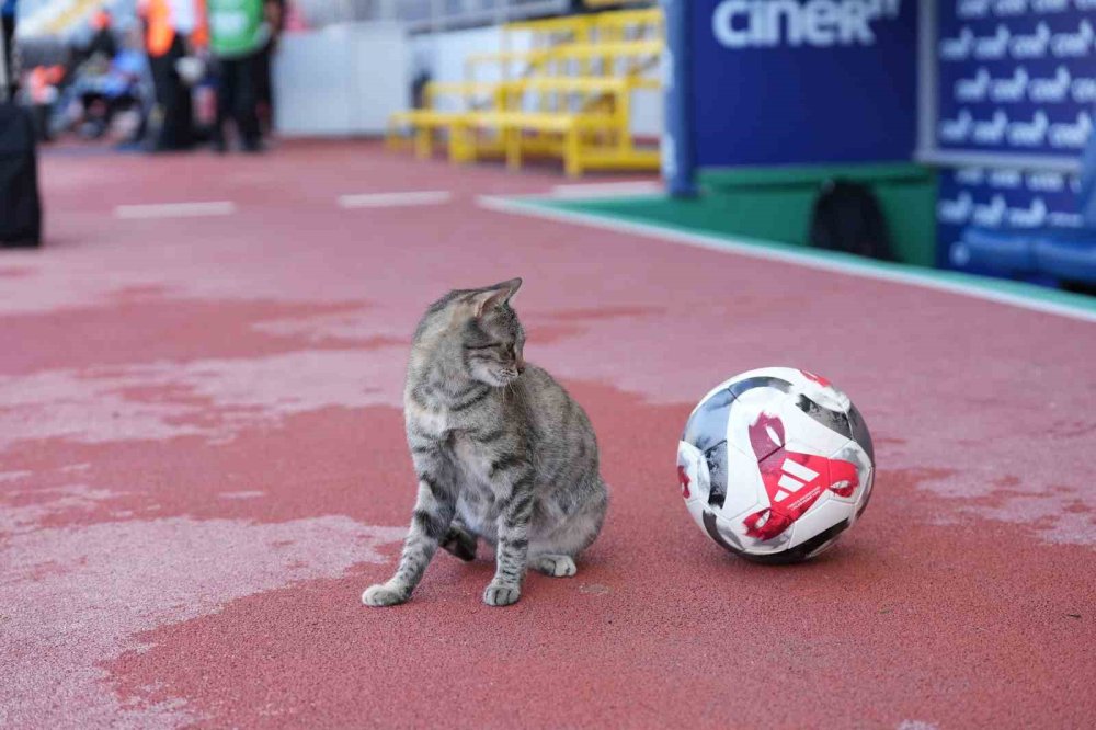 1 atıp üstüne yatınca Konyaspor başına bela aldı