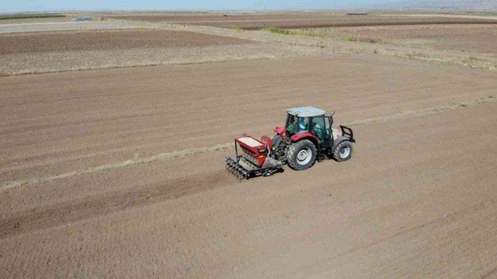 Aksaray'da Organik Sarımsak Ekim Sezonu Başladı: Hedef 150 Ton Rekolte