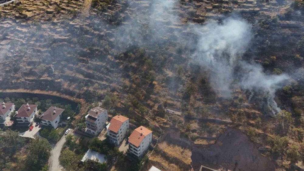 Patlıcan közlerken ormanı yaktı