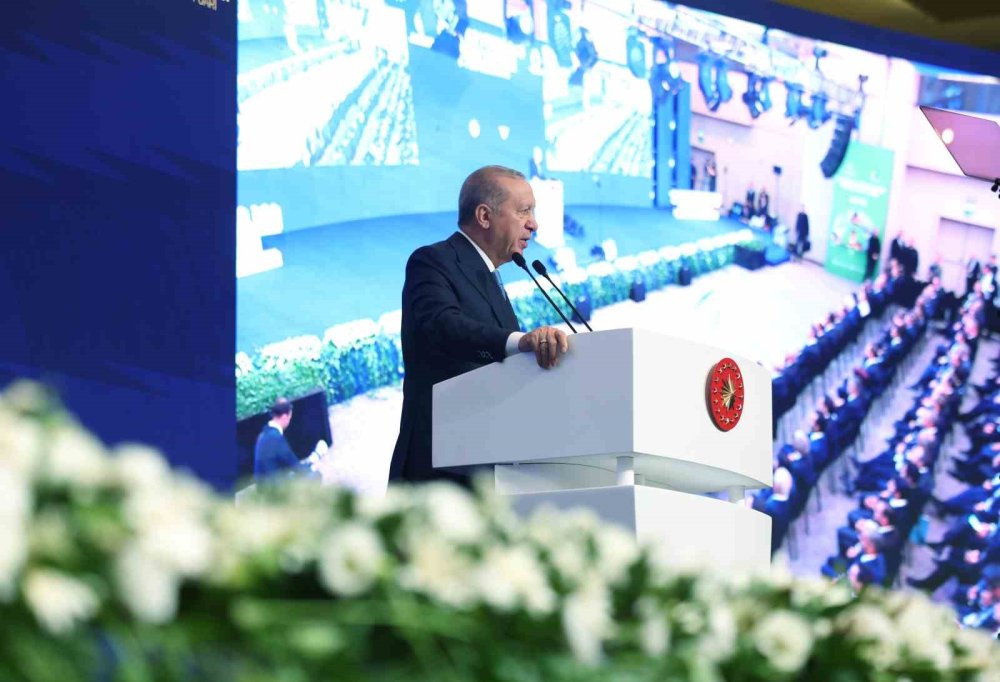 Cumhurbaşkanı Erdoğan: Gaz almak gazoz almaya benzemez