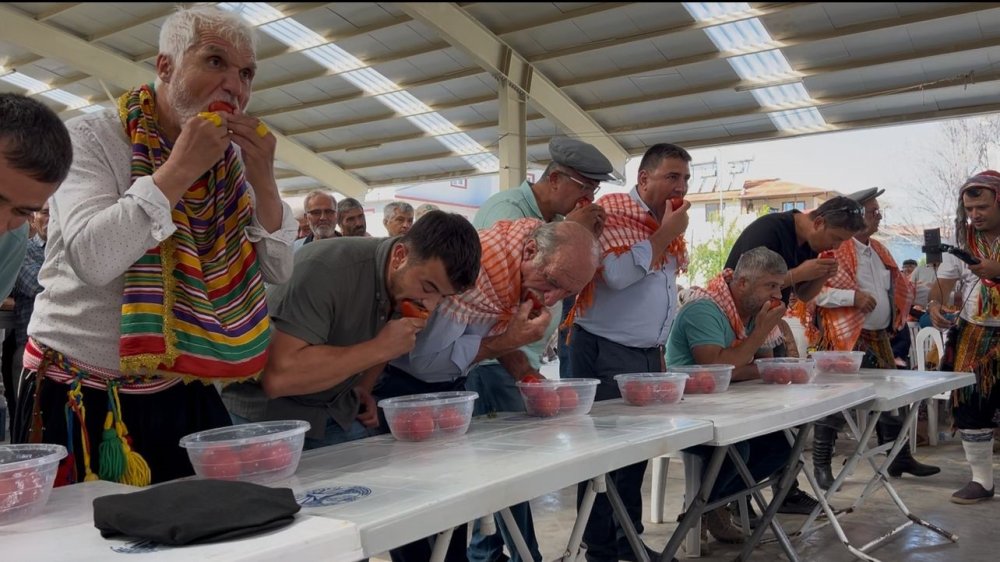 Pala bıyıklar yarıştı