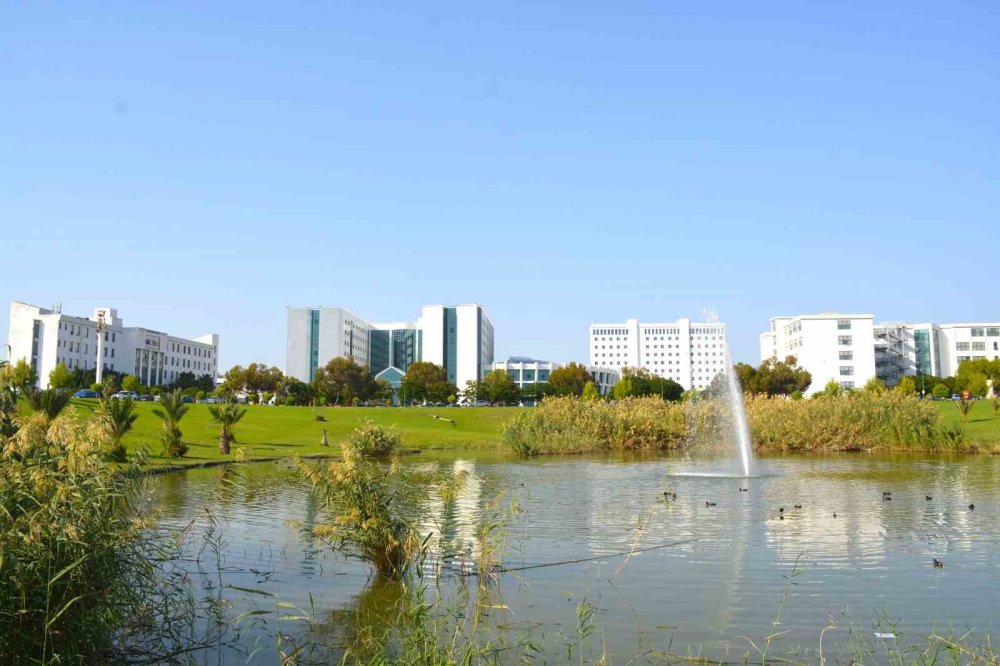 Kıbrıs'ta Keşfedilen "Alasiavirus", Dünya Bilim Literatürüne Girdi