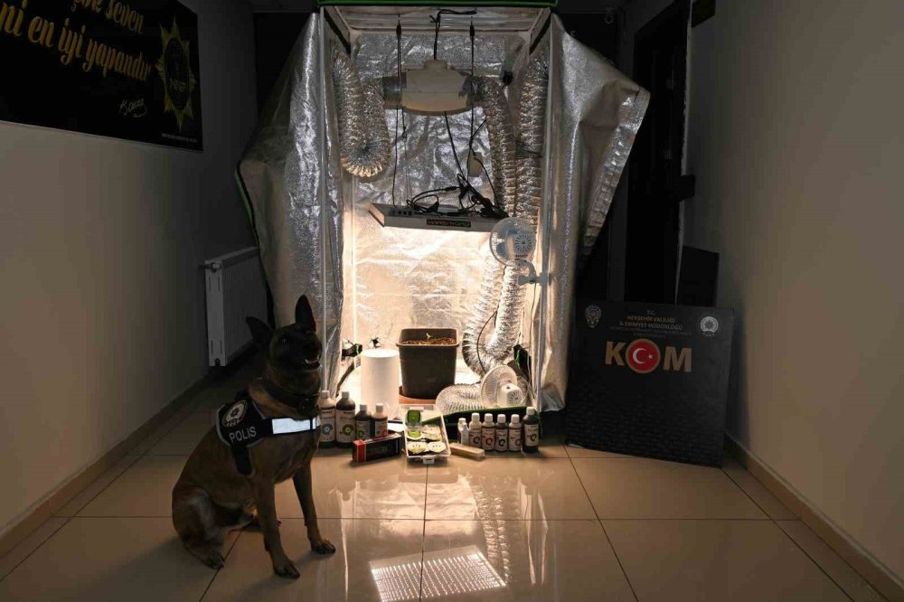 Nevşehir’de Devlet Hastanesi Merkezli Rüşvet Operasyonu: 20 Gözaltı