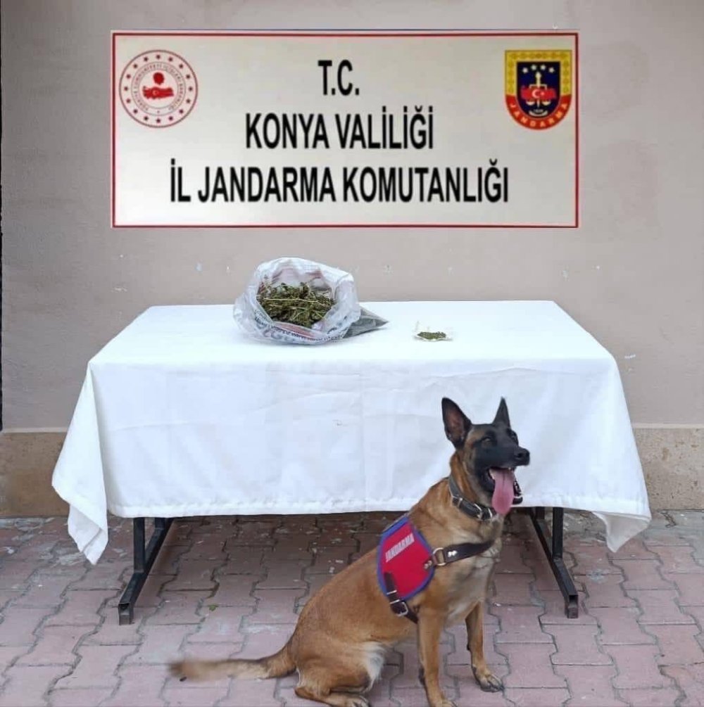 Ereğli ve Çumra'da zehir tacirlerine darbe