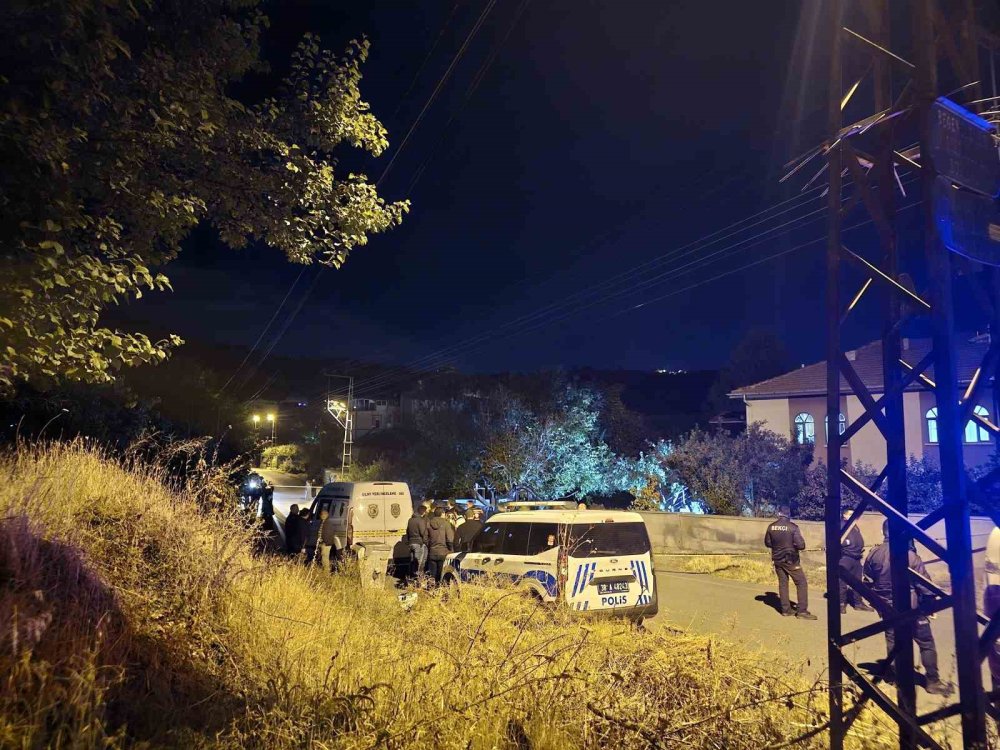 Kayseri'deki cinayeti at nalı çözdü